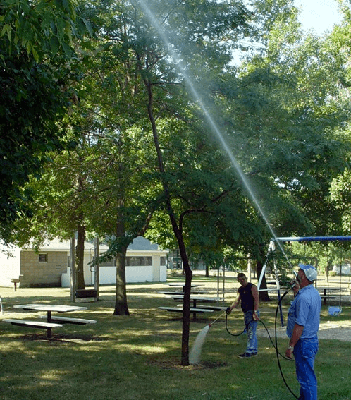 Tree Spraying Services