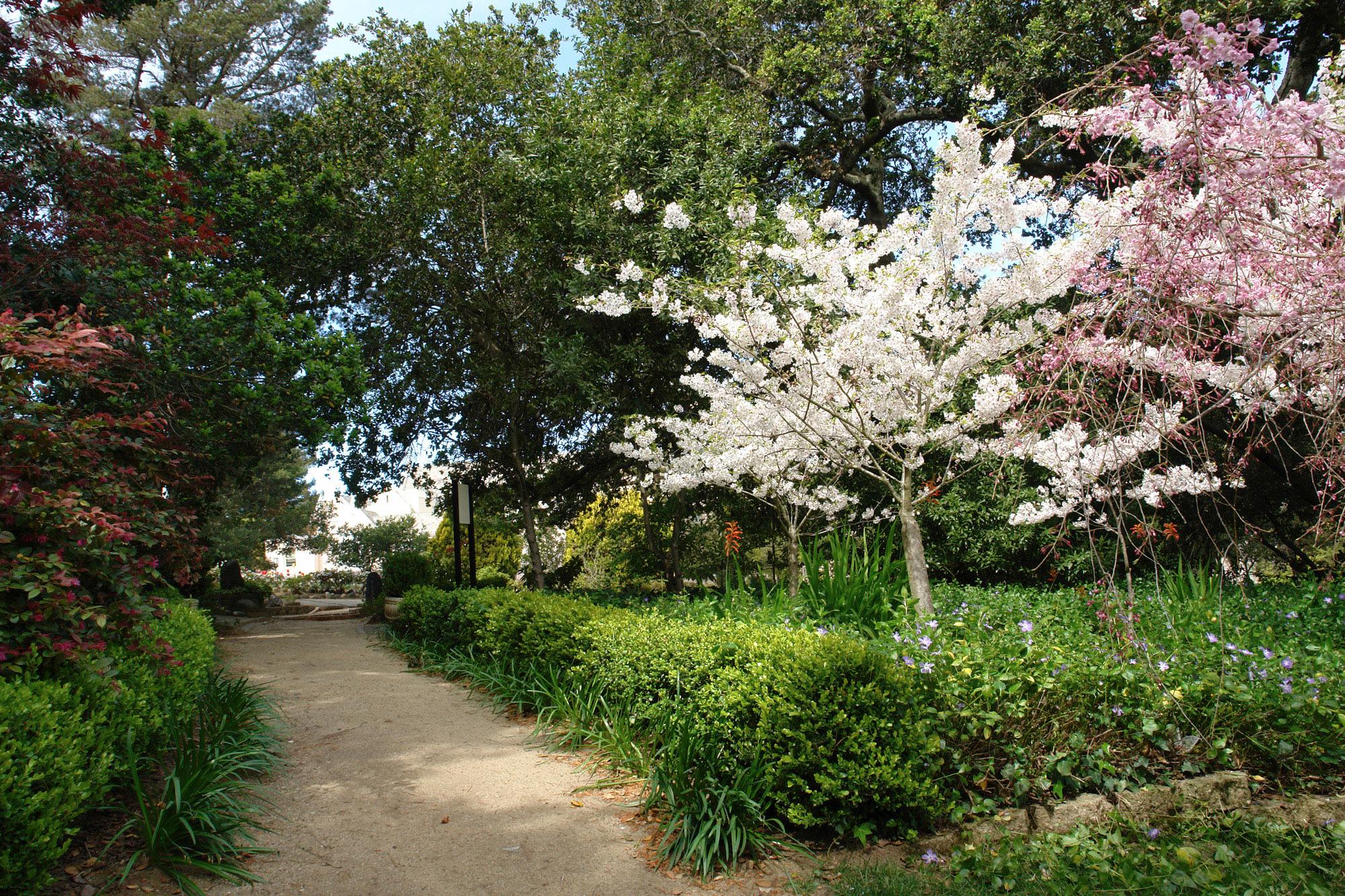 Walking Paths