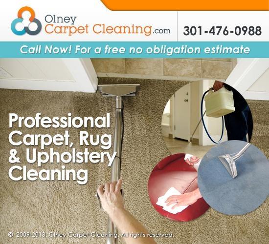 Professional Carpet Cleaning