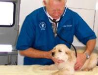 Veterinarian Care Boise ID 83713