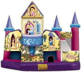 Disney Princess Castle