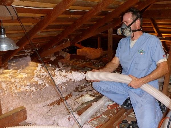 Attic Insulation