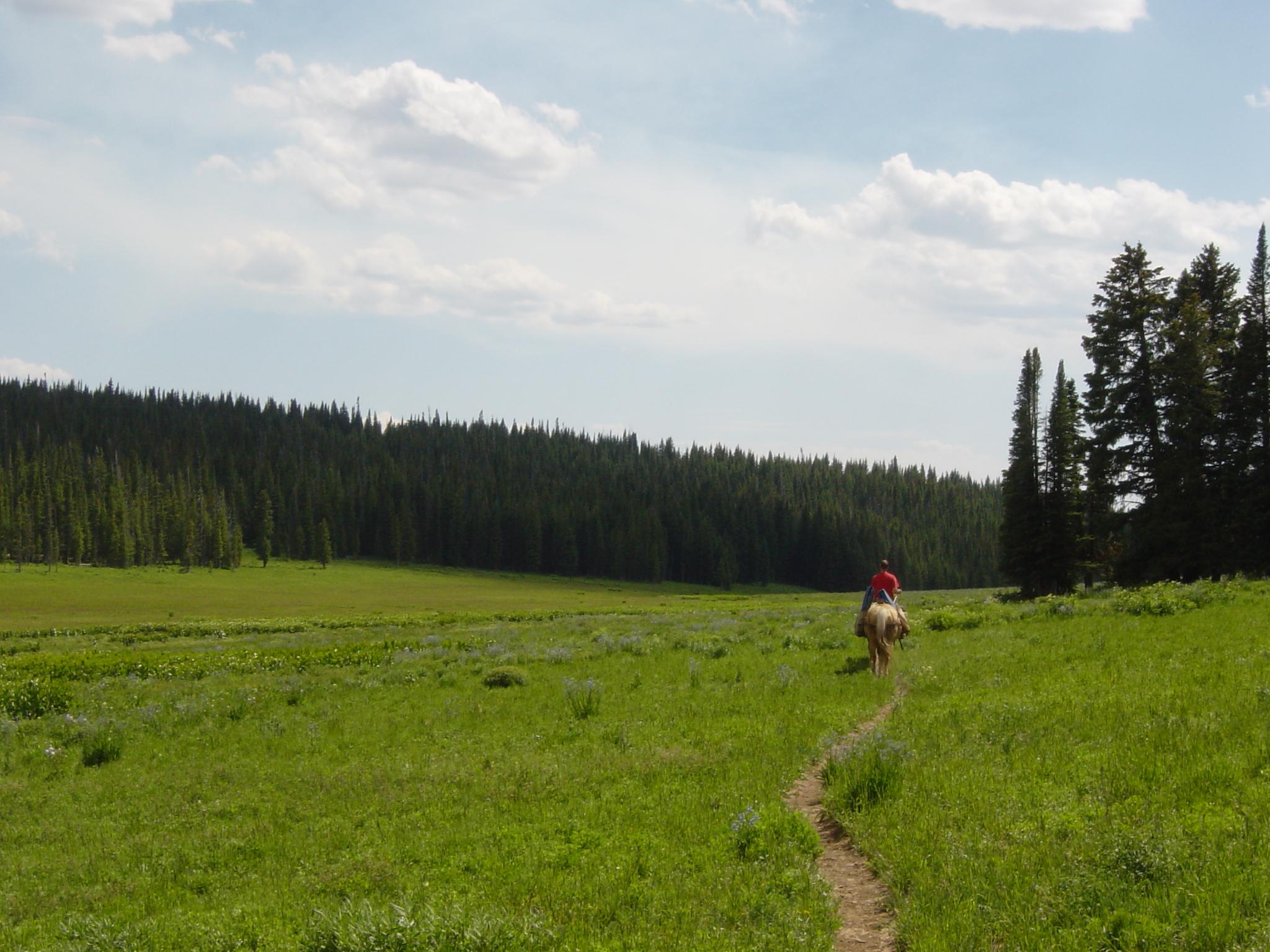 Flat tops wilderness trail ride