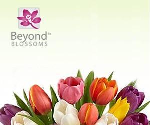 Beyond Blossoms - Send Flowers