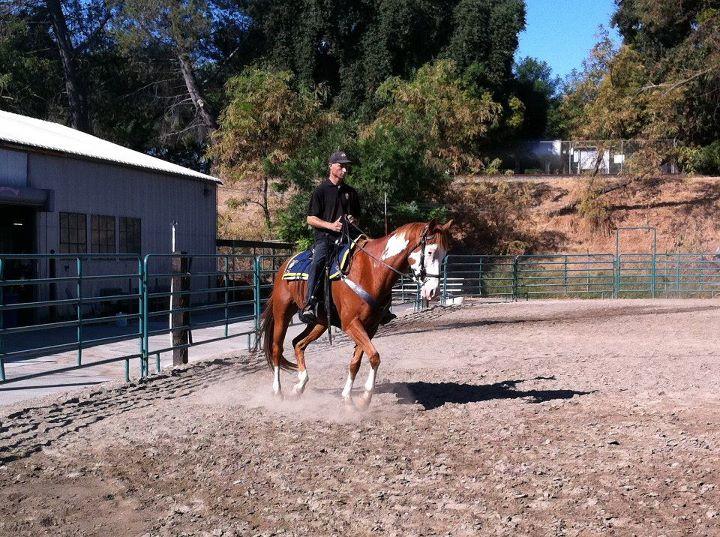 A Partner For Life Horsemanship