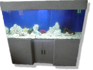 Saltwater Fish Tank / Aquarium, Cleaning and Maintenance