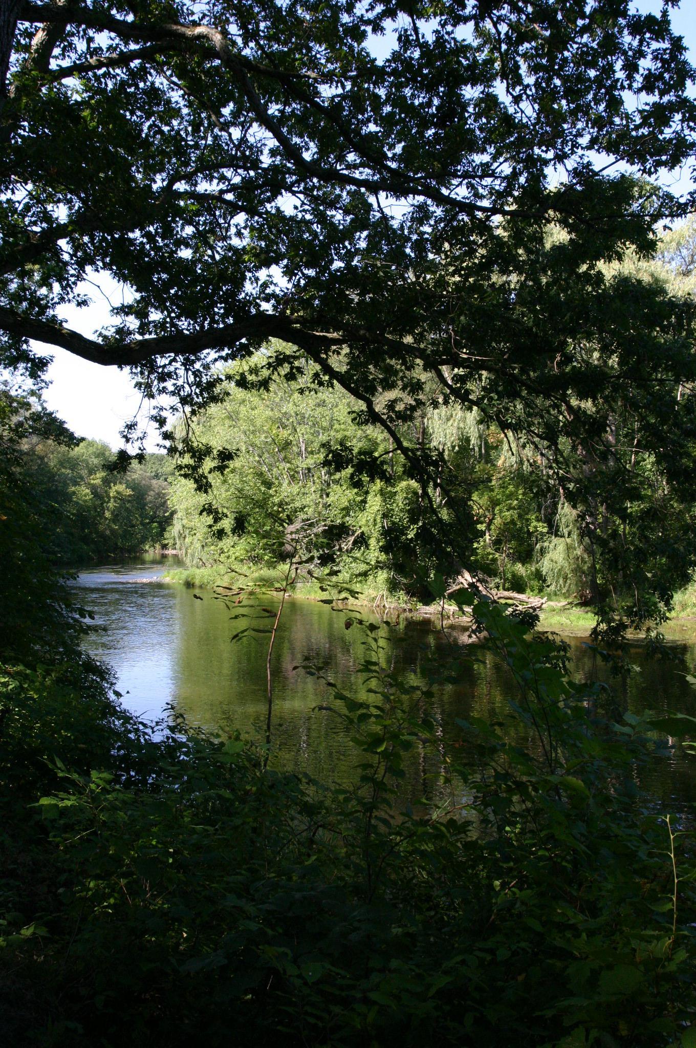 The beautiful Shiawassee River along the trails of DeVries Nature Conservancy