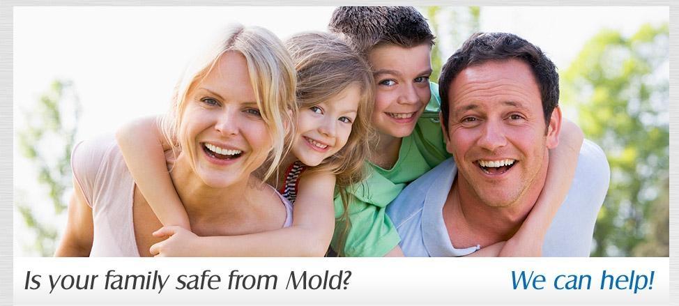 mold