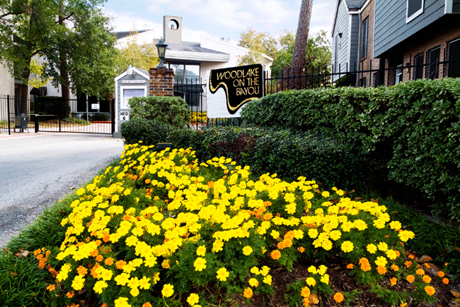 Entrance to property