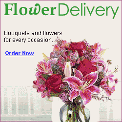 Call  718-773-1005, for same day delivery