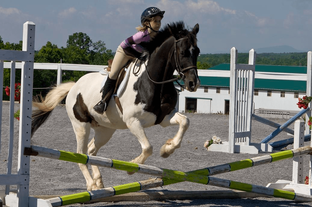 Wishing Well Equestrian Center