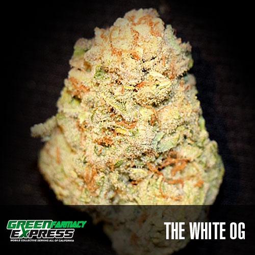 White OG