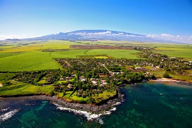 Patty Sadler Realtor Broker of Coldwell Banker Island Properties. Maui Real Estate Agent Expert with years of experience and local market knowledge for the buyer and seller.