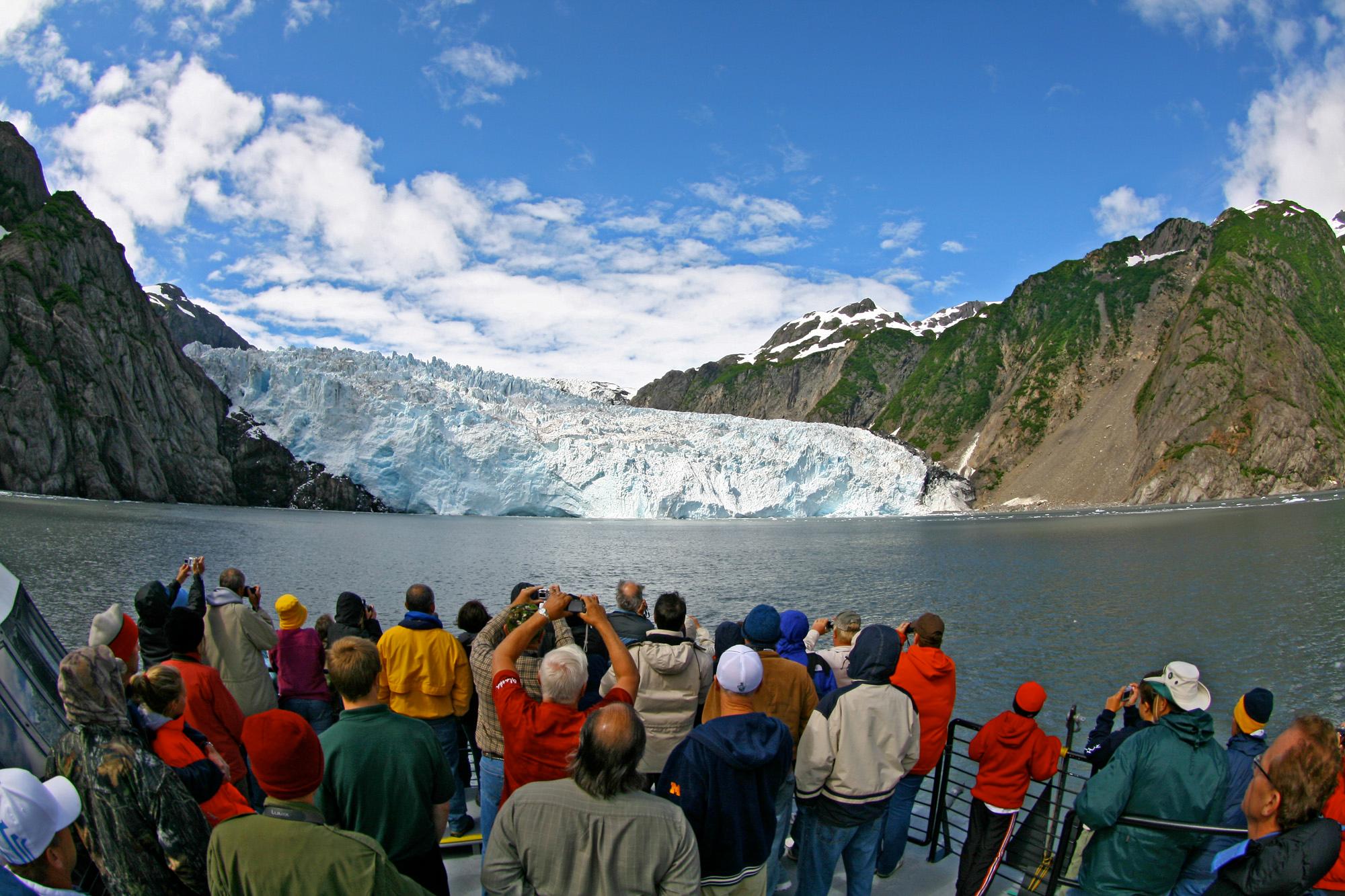 Spectacular glacier & wildlife cruises!