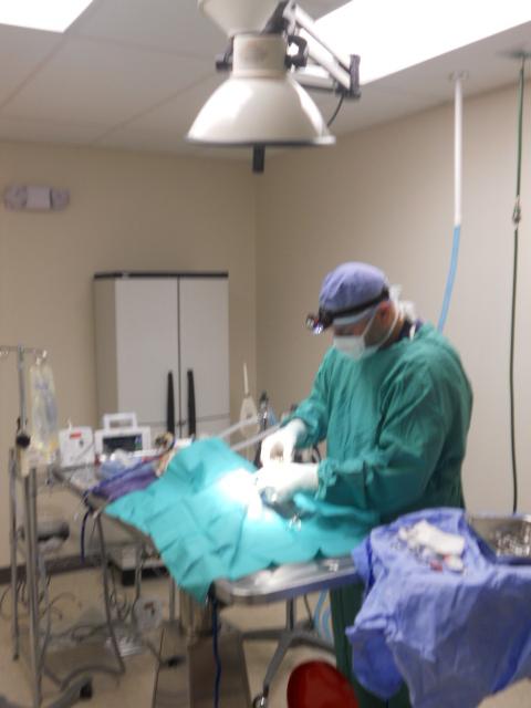 Surgical Suite