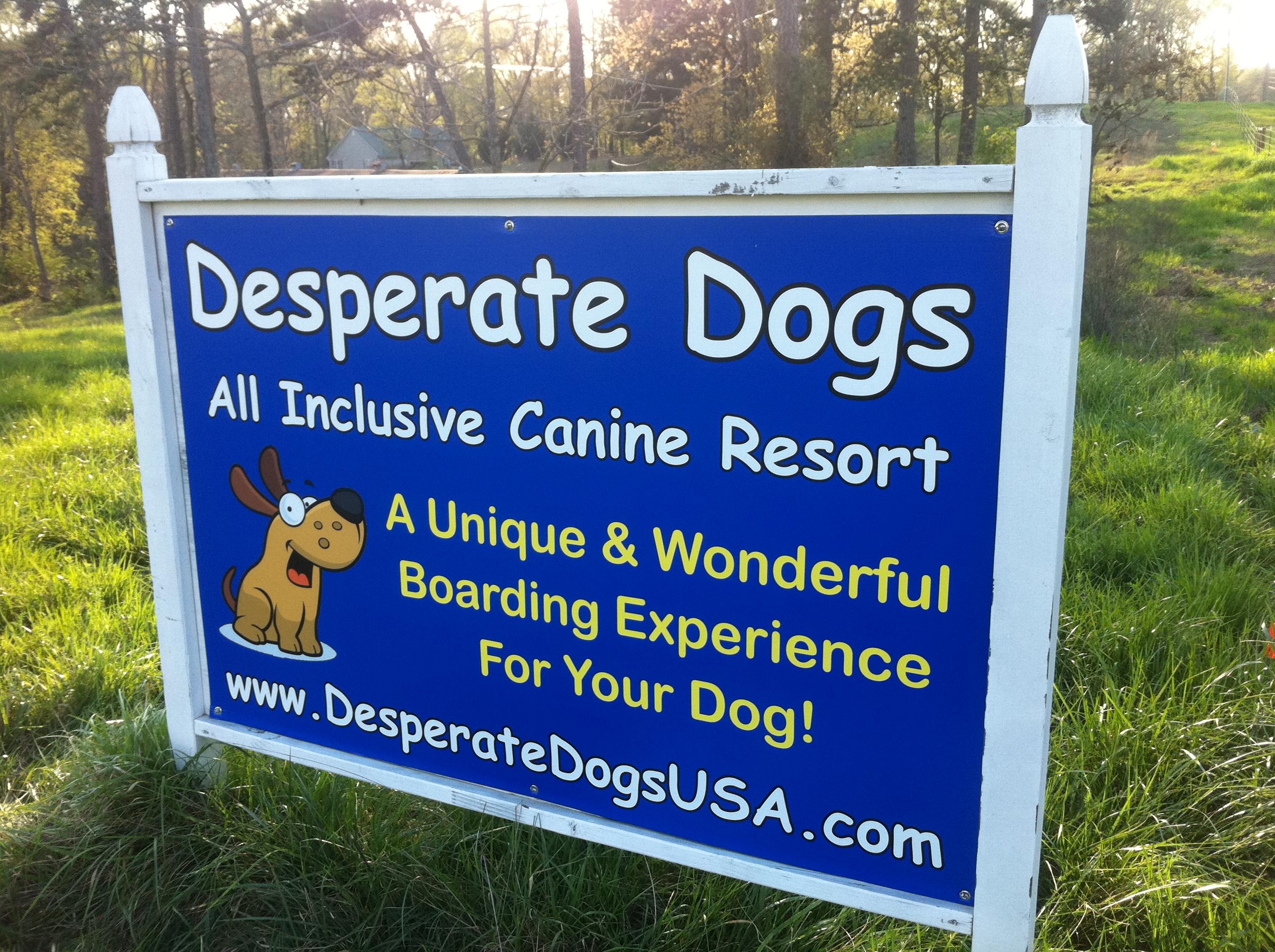 Welcome to Desperate Dogs Ranch