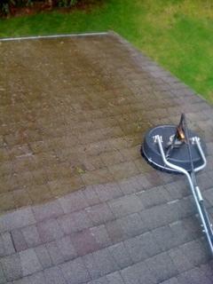 Roof Cleaning Snohomish County