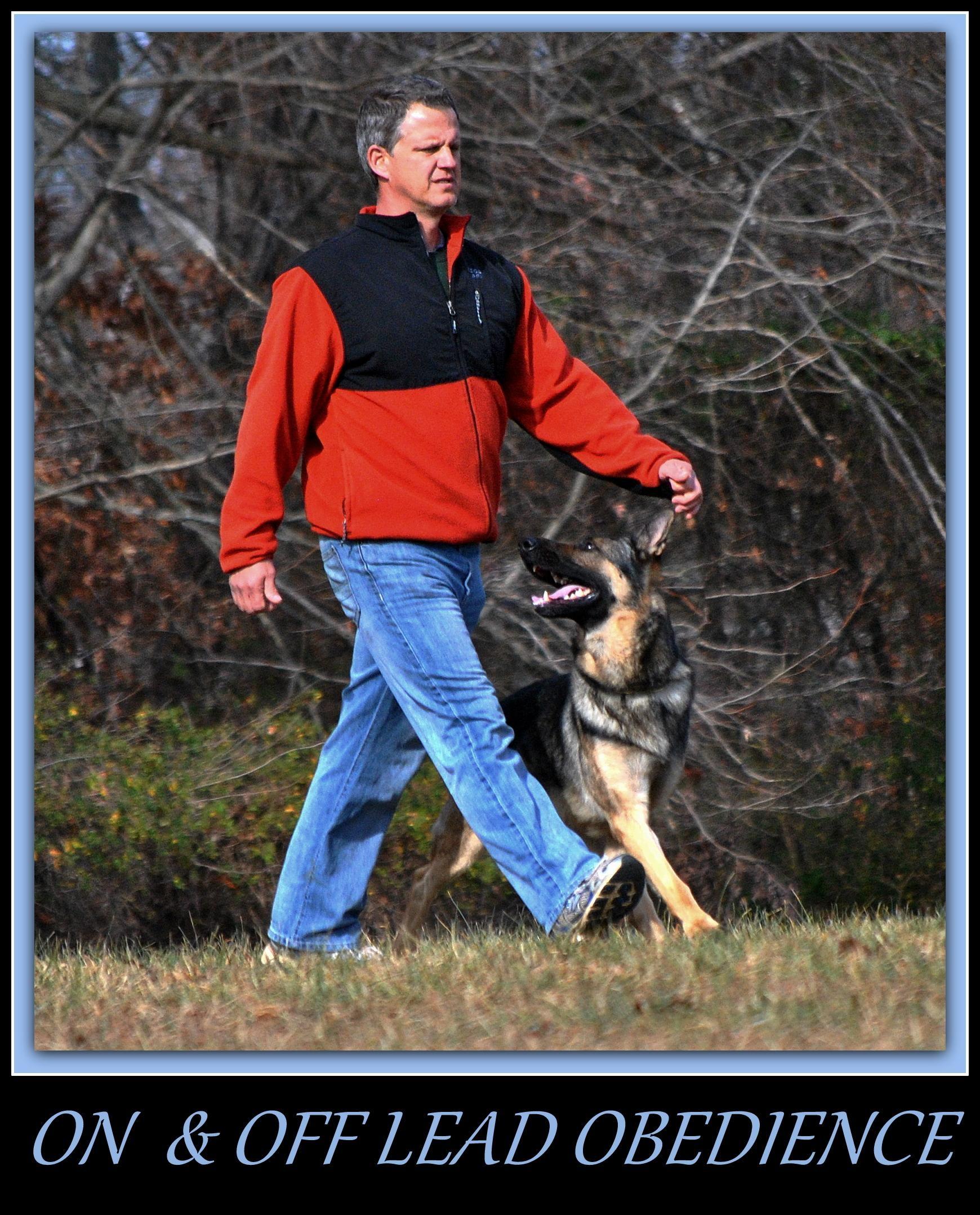 Obedience Guaranteed K9 Trainer