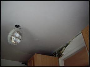 After Ceiling Repair