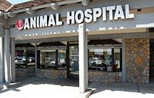 Adobe Animal Hospital