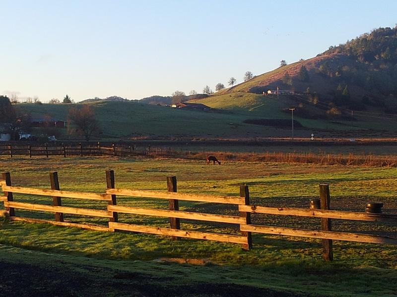 High Spirits Horse Ranch