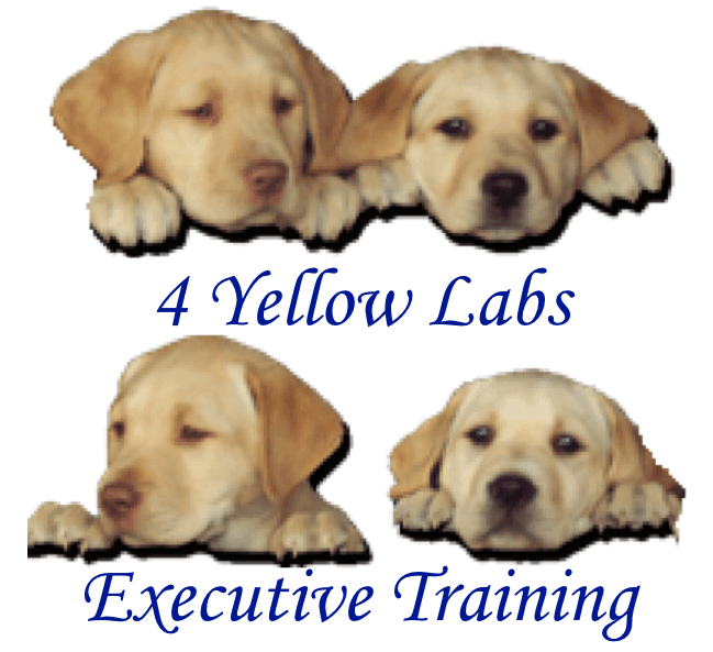 4 Yellow Labs, Inc.