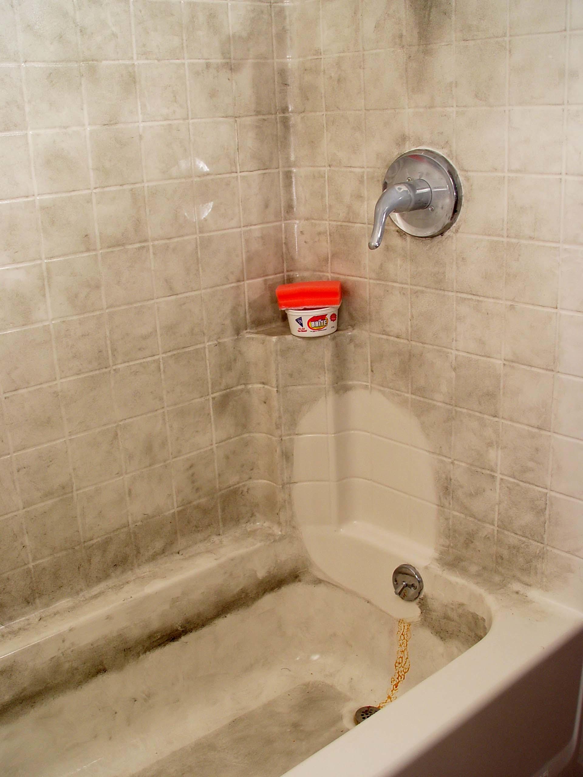 Clean your Showers with Hard Water, Soap Scum and Calcium Deposits