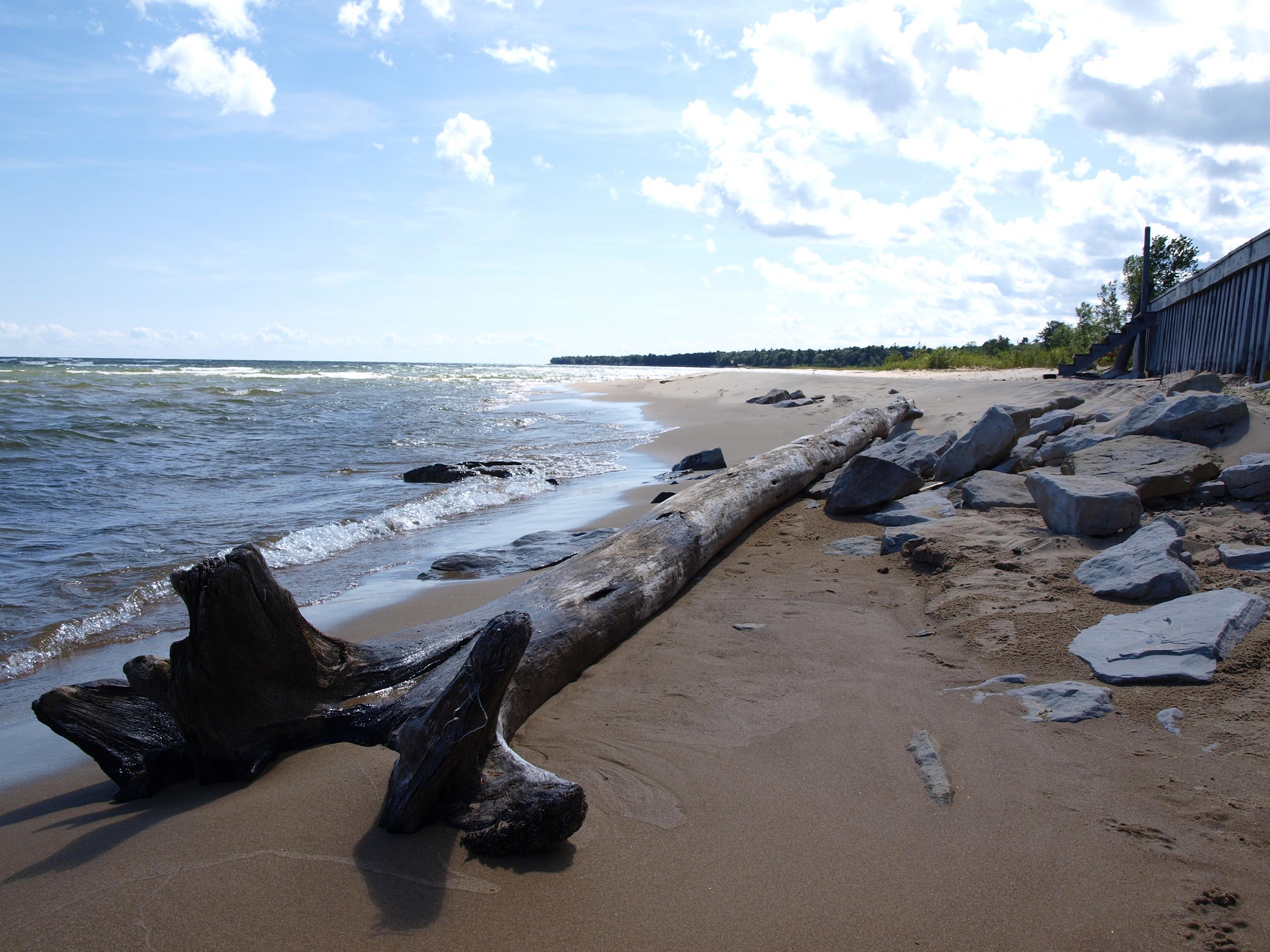 the beach