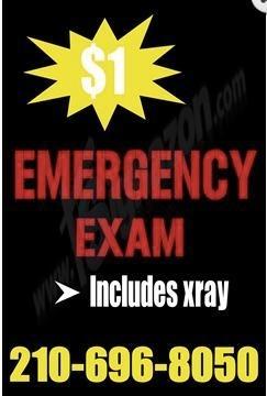 $1.00 Dental Emergency Exam