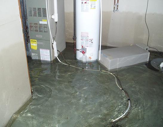 When water intrudes in your property, quick action is required before further structural damage can occur and for the prevention of mold growth.