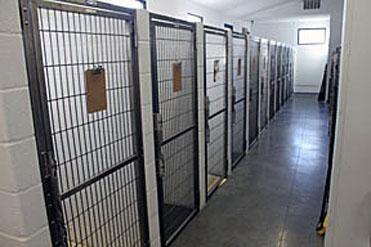 Boarding Kennels