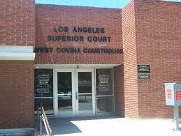 Courthouse Courier Deliveries Los Angeles, CA $34.99 (213) 259-6399