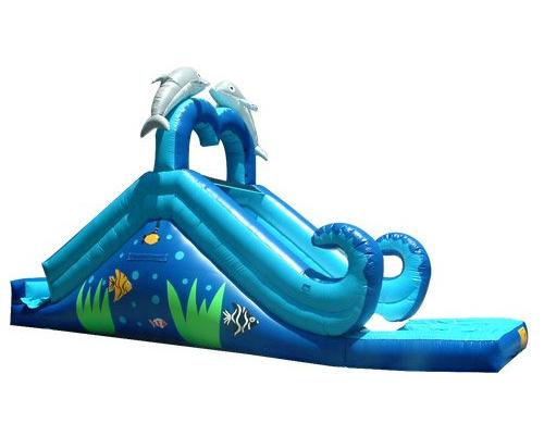 Dolphin Wet/Dry Slide