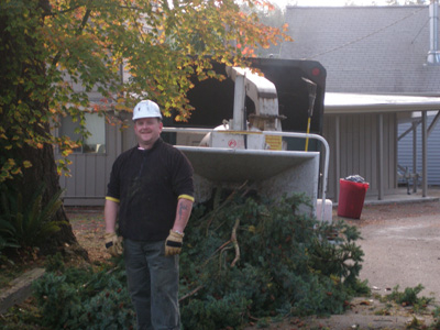 Tree Removal and Stump Grinding in Everett Washington