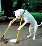 k9cleanups