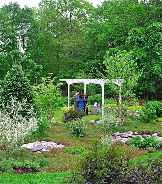 Under the arbor.