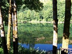 our backyard...the Umpqua River