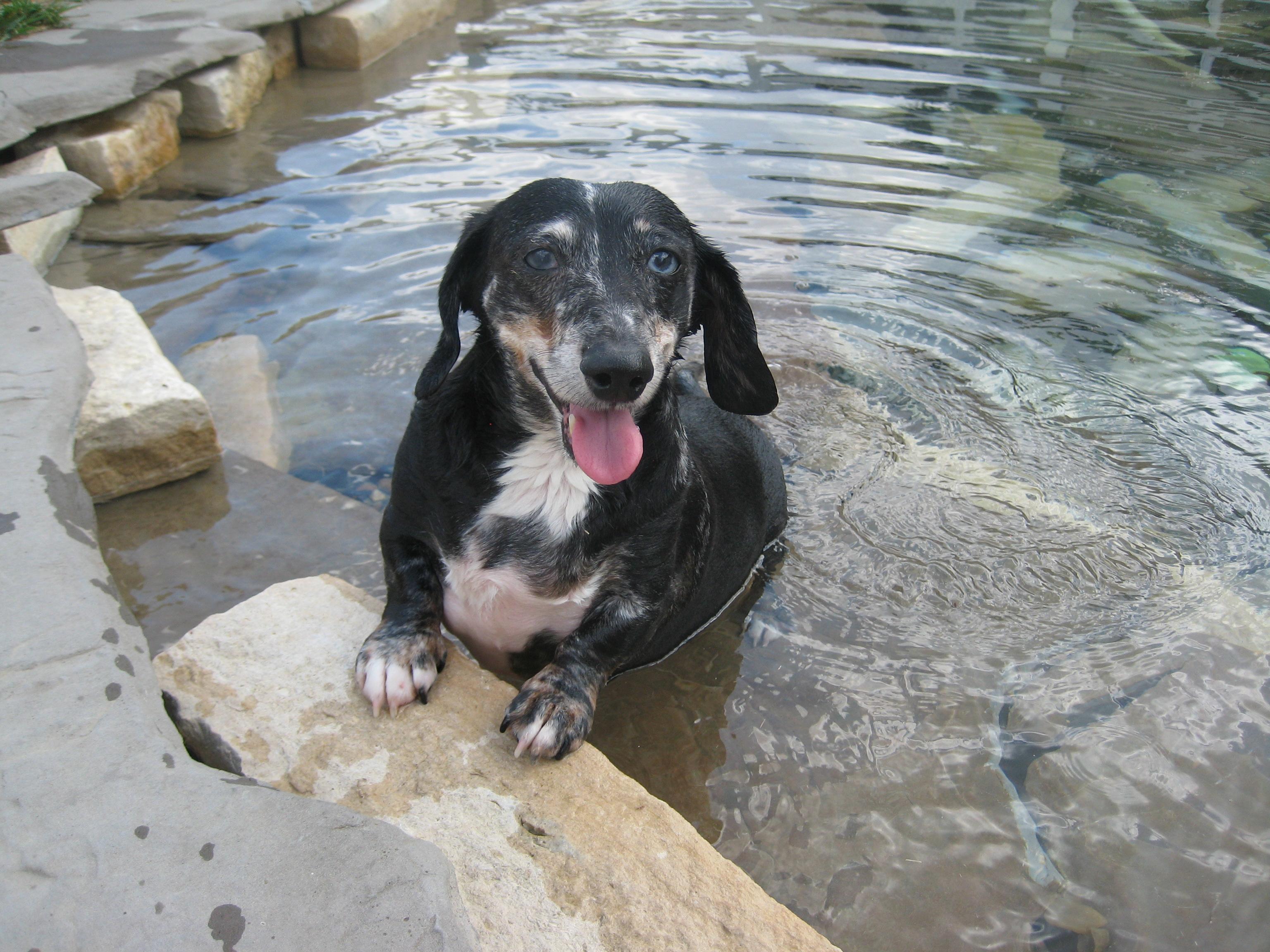 Enjoying relaxing the pool