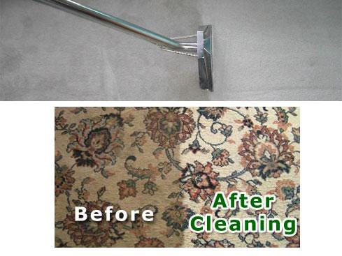 Steam Plus Carpet Cleaning