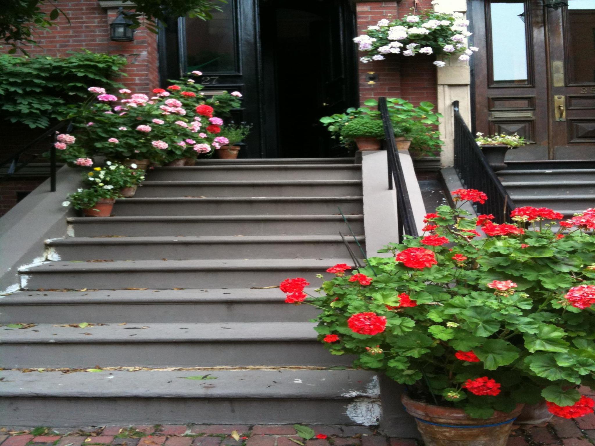 Beacon Hill Bed & Breakfast