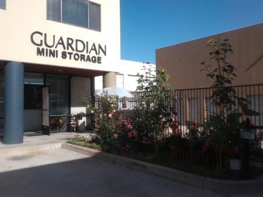 ~ The Guardian Storage Storefront ~