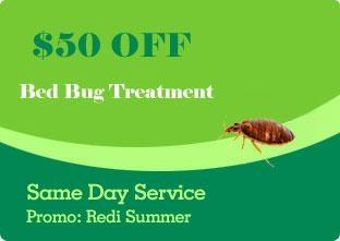 Bed Bug Treatment Coupon Seattle, WA