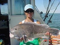 Big Chesapeake Bay Tautog or Tog