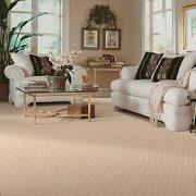 Commercial and residential Carpet cleaning