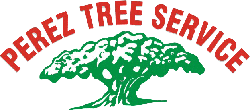 Tree Service, Duluth, GA