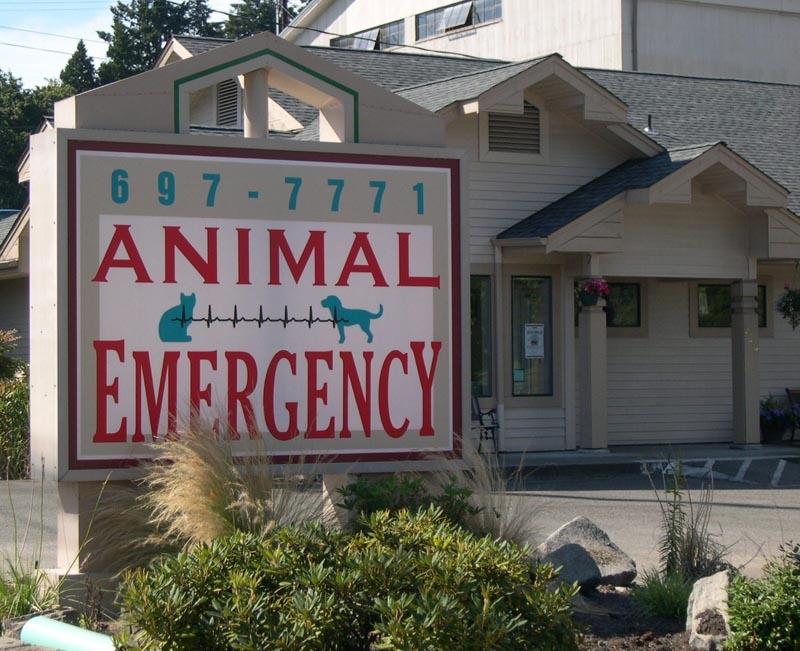 Animal Emergency on Lindvig Way, Poulsbo