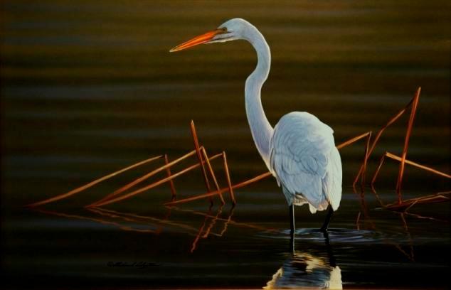 Awesome Egret painting by award winning Richard Clifton