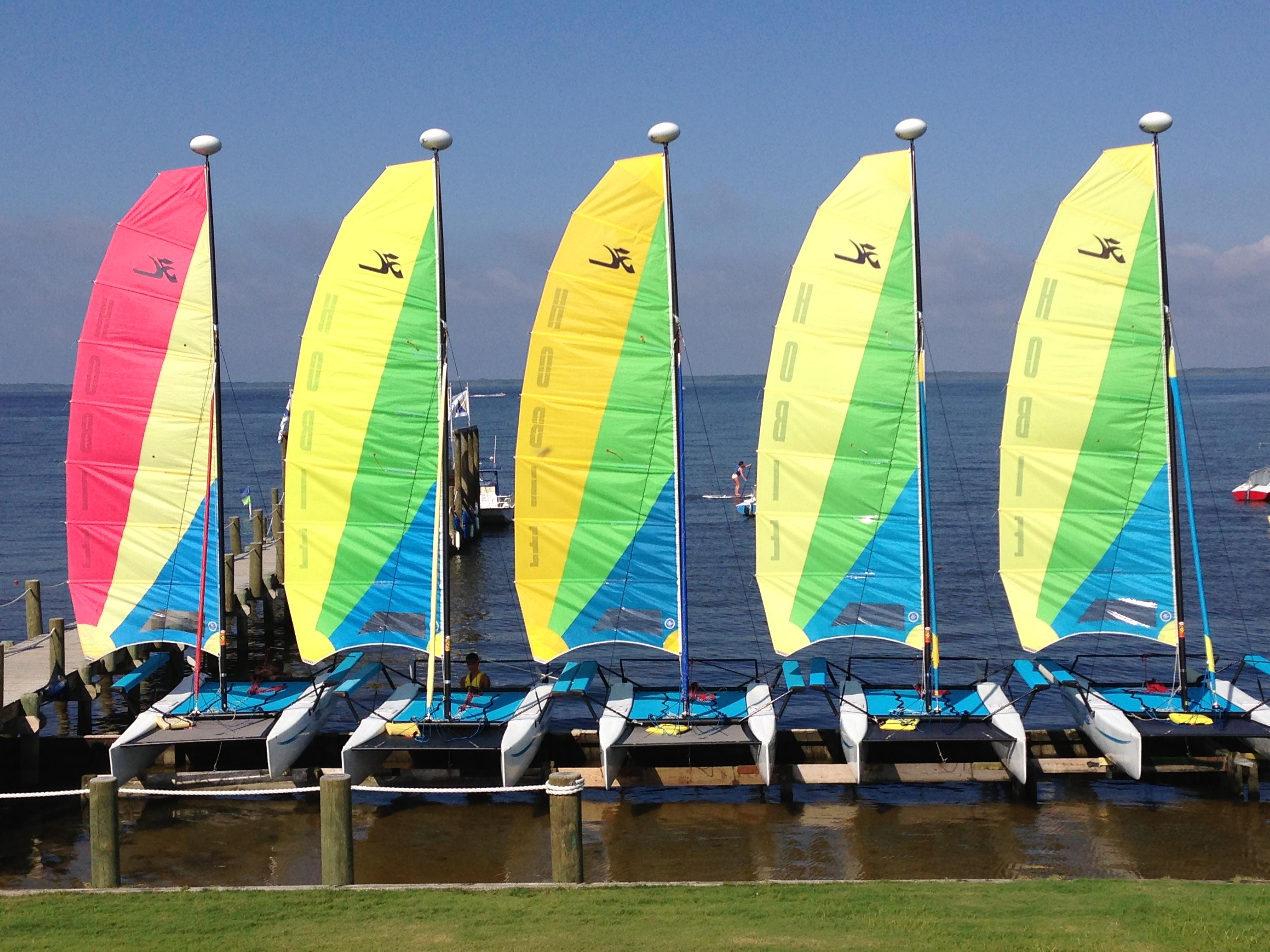 Biggest and Best Fleet of Hobie Cats