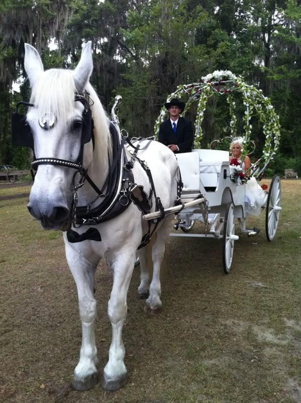 A Cinderella wedding