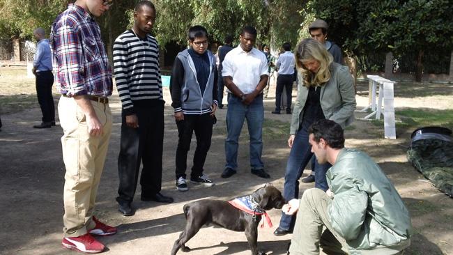 Master Dog Training